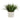 Artificial Grass Plant in Cement Pot | Geo Line Design - Magasins Hart | Hart Stores