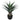 Agave Artificial Plant - Magasins Hart | Hart Stores