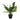 Spathiphylium Patinii Artificial Plant - Magasins Hart | Hart Stores